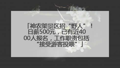 神农架景区招“野人”！日薪500元，已有近4000人报名，工作职责包括“接受游客投喂”